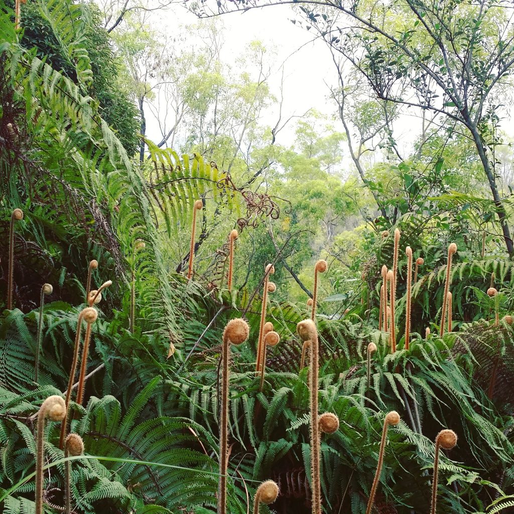 咕嚕咕嚕魔法陣 - Yeung Kin Yi