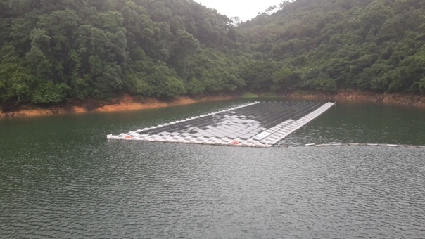 Develop Renewable Energy